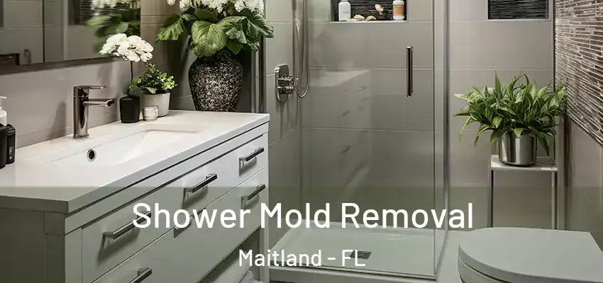 Shower Mold Removal Maitland - FL