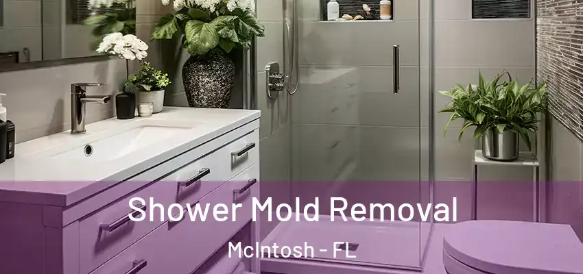  Shower Mold Removal McIntosh - FL