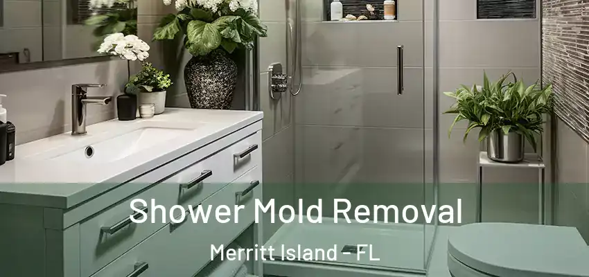  Shower Mold Removal Merritt Island - FL
