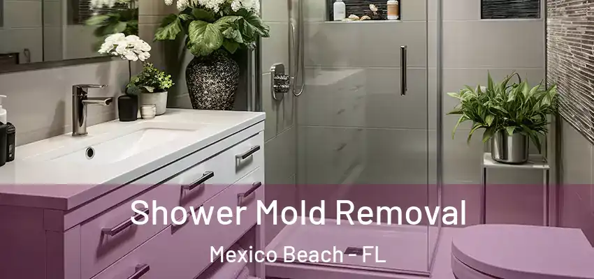  Shower Mold Removal Mexico Beach - FL