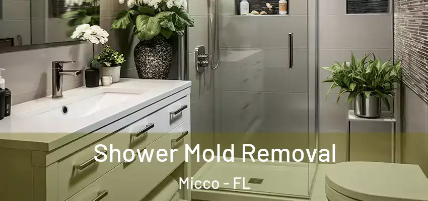 Shower Mold Removal Micco - FL