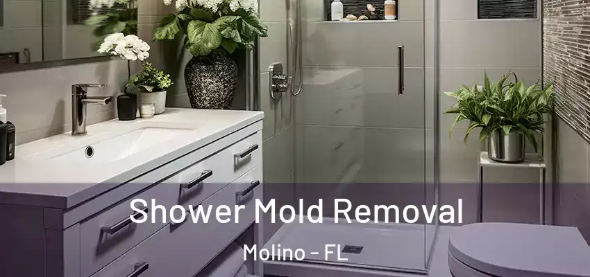  Shower Mold Removal Molino - FL
