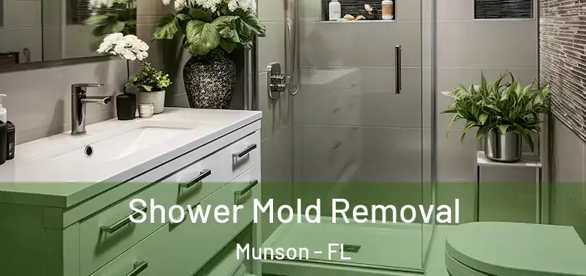  Shower Mold Removal Munson - FL