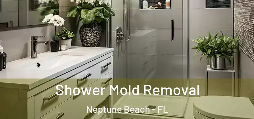  Shower Mold Removal Neptune Beach - FL