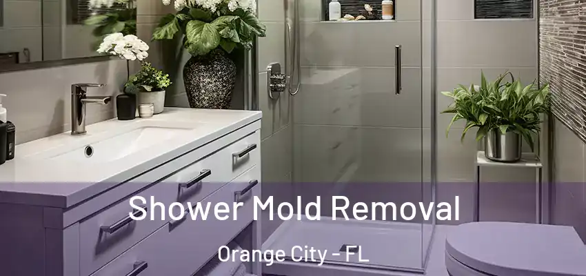 Shower Mold Removal Orange City - FL