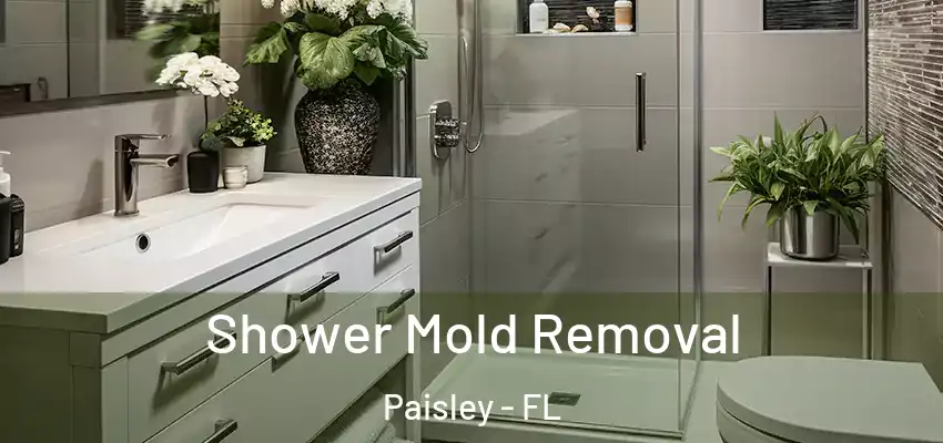  Shower Mold Removal Paisley - FL