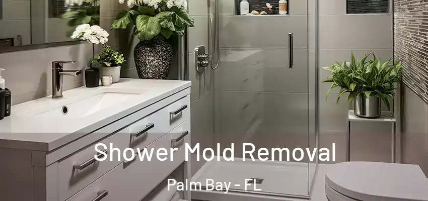 Shower Mold Removal Palm Bay - FL