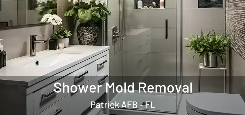  Shower Mold Removal Patrick AFB - FL