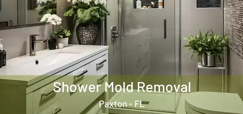  Shower Mold Removal Paxton - FL