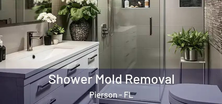 Shower Mold Removal Pierson - FL