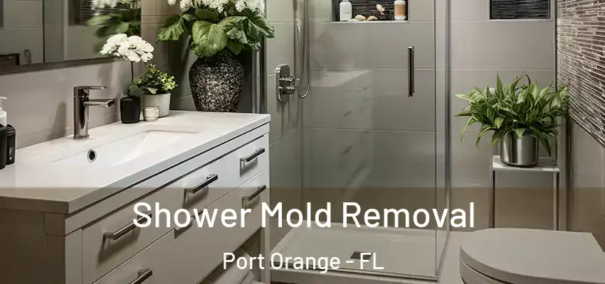 Shower Mold Removal Port Orange - FL
