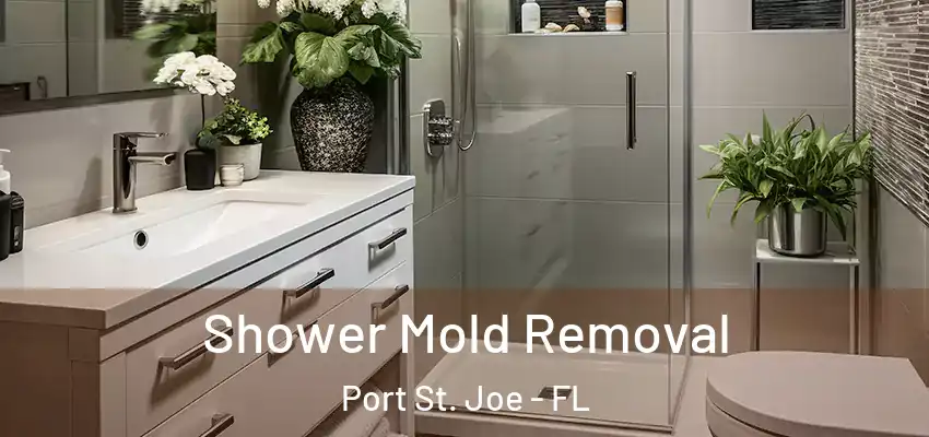  Shower Mold Removal Port St. Joe - FL