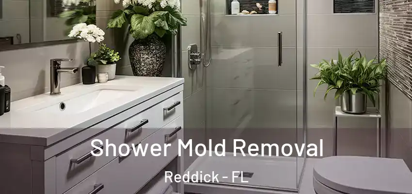 Shower Mold Removal Reddick - FL