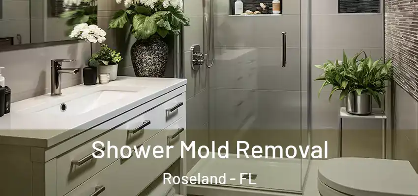 Shower Mold Removal Roseland - FL