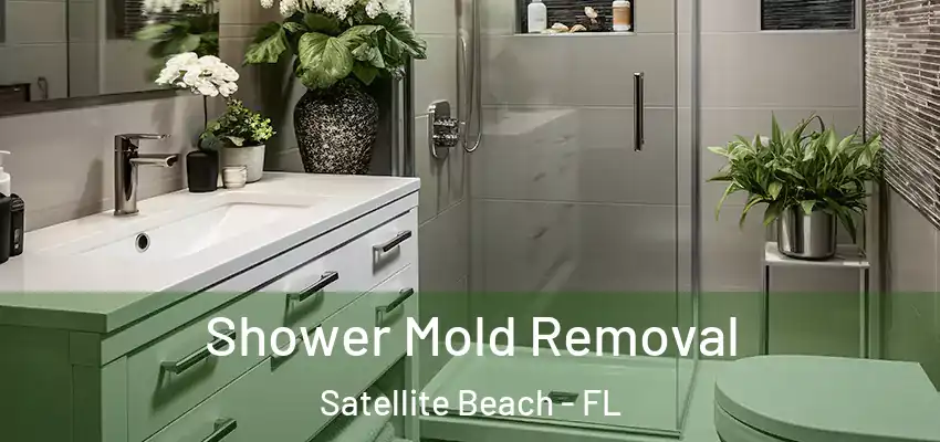  Shower Mold Removal Satellite Beach - FL