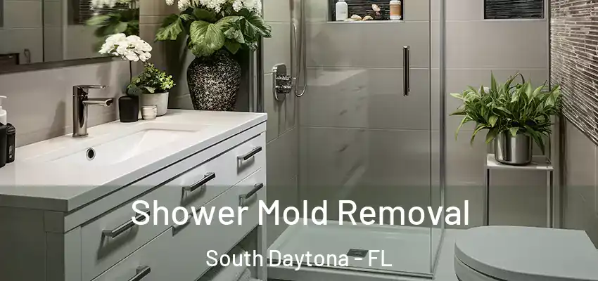  Shower Mold Removal South Daytona - FL