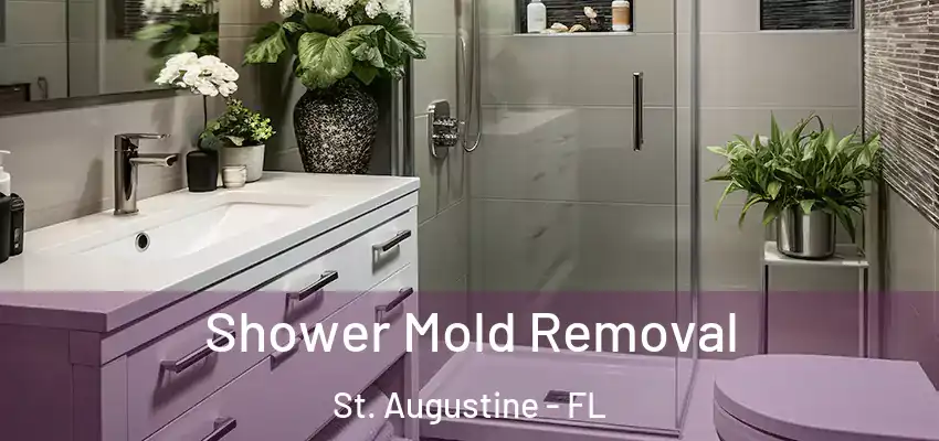  Shower Mold Removal St. Augustine - FL