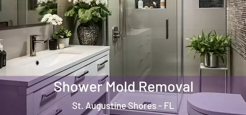  Shower Mold Removal St. Augustine Shores - FL