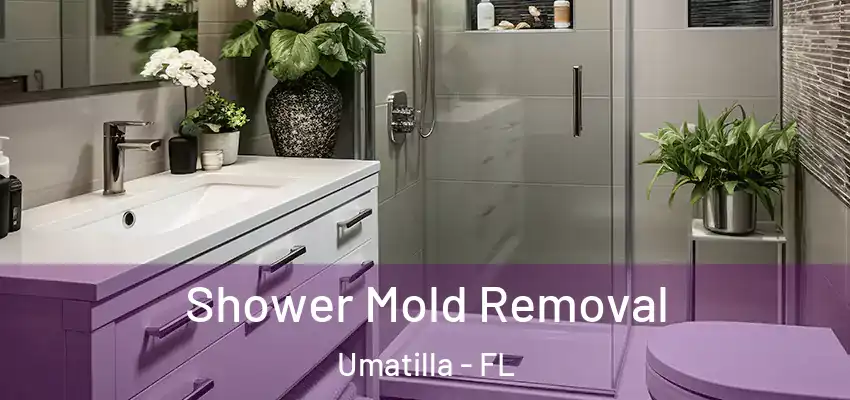 Shower Mold Removal Umatilla - FL