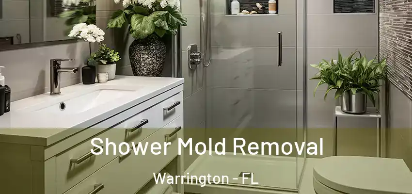 Shower Mold Removal Warrington - FL
