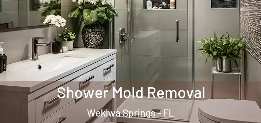  Shower Mold Removal Wekiwa Springs - FL