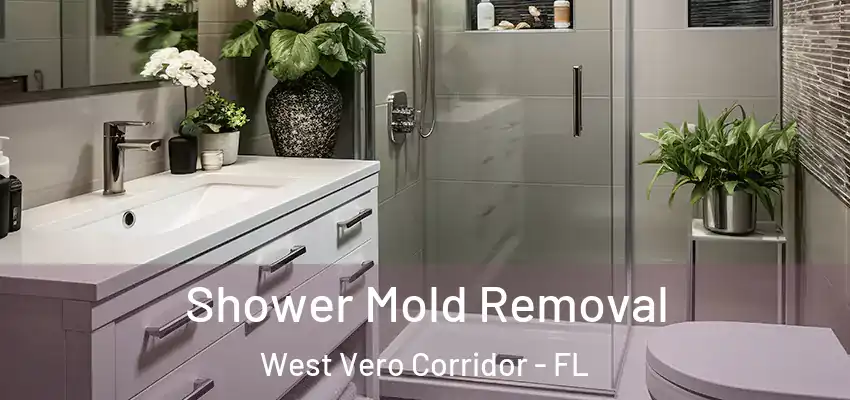  Shower Mold Removal West Vero Corridor - FL