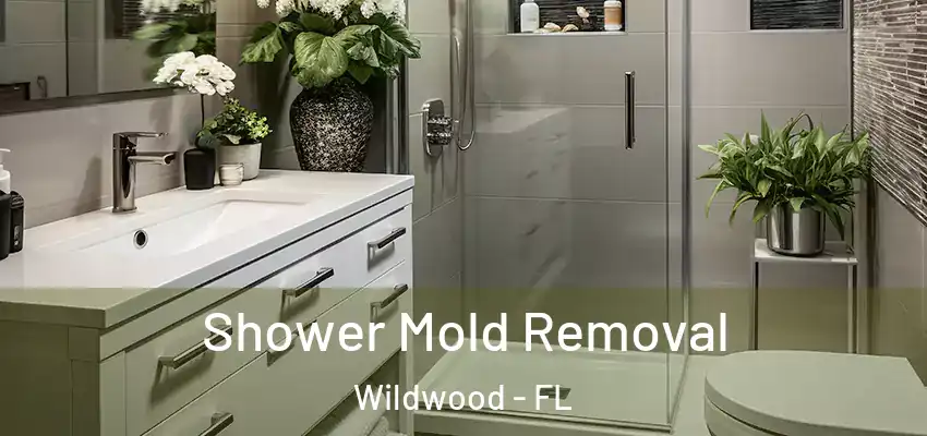  Shower Mold Removal Wildwood - FL